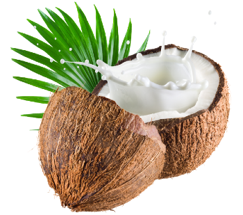 Ингредиент фото8